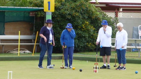 LEARN OR PLAY SOCIAL OR PENNANT CROQUET